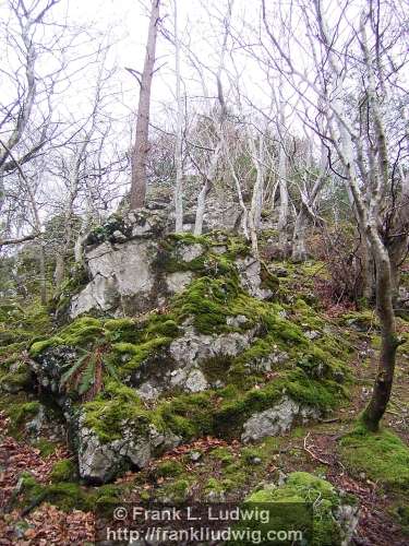 Dooney Rock, Lough Gill, County Sligo